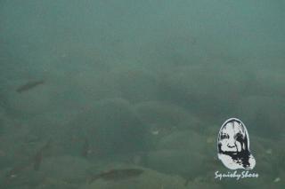 Hoodie Sweater in the Falls