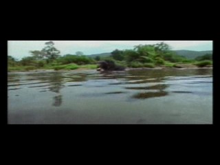 Sunshowers music video - M.I.A.