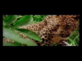 Sunshowers music video - M.I.A.