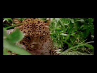 Sunshowers music video - M.I.A.