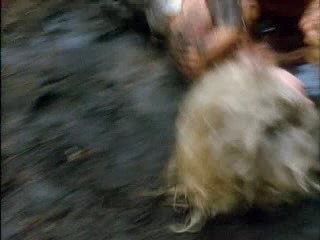 Barbarian Queen II: The Empress Strikes Back