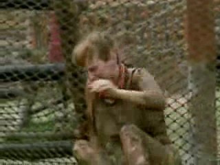 Survivor mud obstacle race