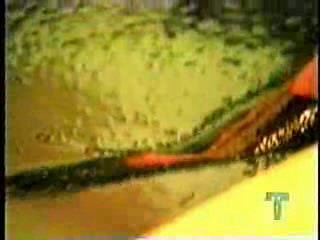 Fashion TV - Chocolate model