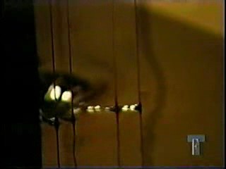 Fashion TV - Chocolate model