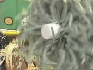 Playboy TV / wwyd pie wash