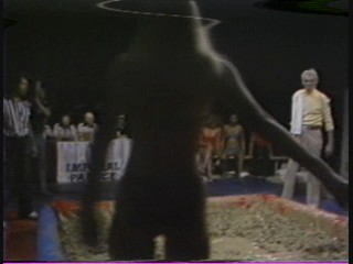 1981 Las Vegas Heavyweight Mudwrestling Championship 