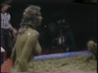 1981 Las Vegas Heavyweight Mudwrestling Championship 