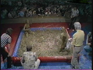 1981 Las Vegas Heavyweight Mudwrestling Championship 