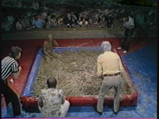 1981 Las Vegas Heavyweight Mudwrestling Championship 