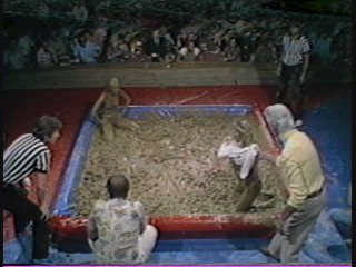 1981 Las Vegas Heavyweight Mudwrestling Championship 
