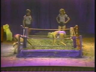 Lightweight Mudwrestling Championships