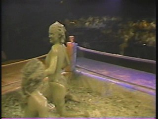 Lightweight Mudwrestling Championships