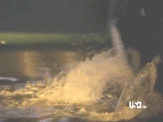 Mr Monk is Underwater