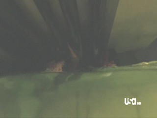 Mr Monk is Underwater