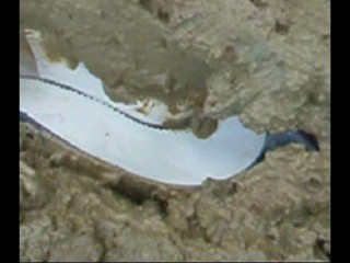 Aldo pumps Ankle deep.