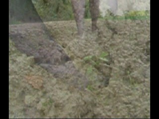 Aldo pumps Ankle deep.