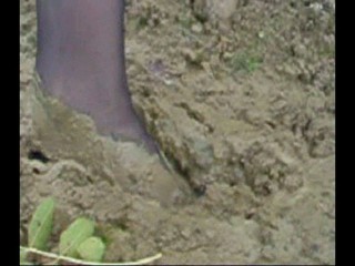 Aldo pumps Ankle deep.