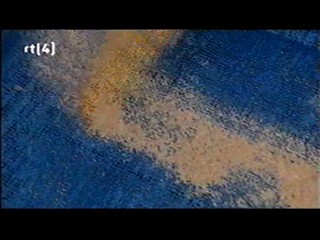 Camping Life   (Dutch TV)