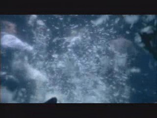 Matchbook Romance Monsters tar