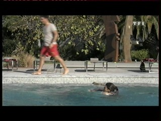 Vacances de lÂ´Amour