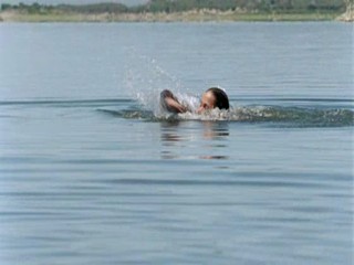 Zoop in South America