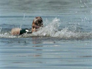 Zoop in South America