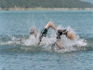 Zoop in South America