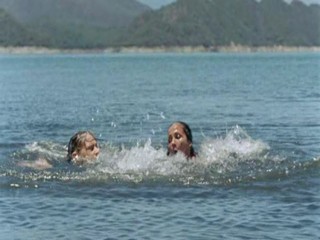 Zoop in South America