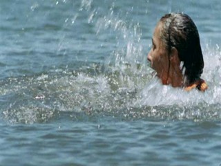 Zoop in South America