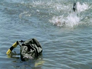 Zoop in South America