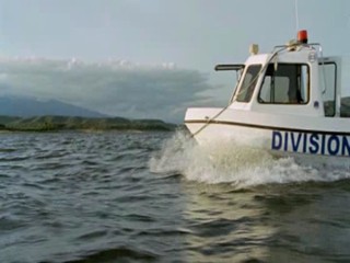 Zoop in South America