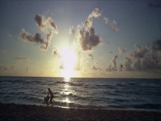 Step Up Revolution (Sexy Dance 4)