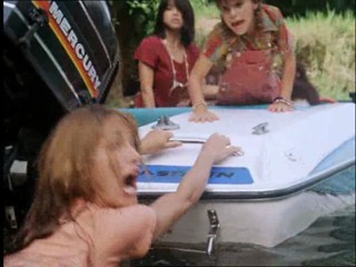 The New Swiss Family Robinson