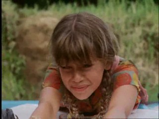 The New Swiss Family Robinson