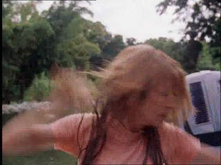 The New Swiss Family Robinson