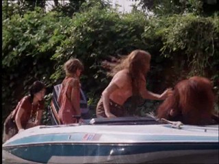 The New Swiss Family Robinson