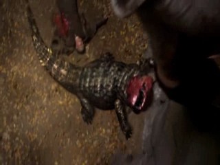 Lake Placid: The Final Chapter