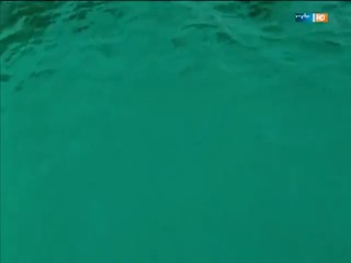 Bella und der Feigenbaum