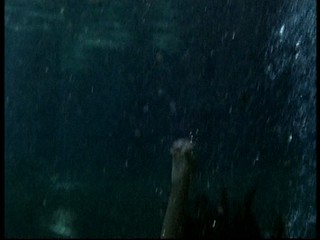 Their Eyes Were Watching God