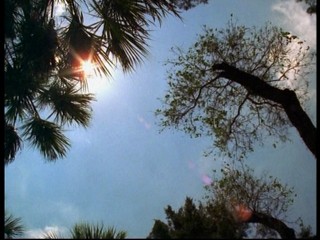 Their Eyes Were Watching God