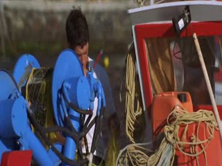 The Sisterhood of the Traveling Pants