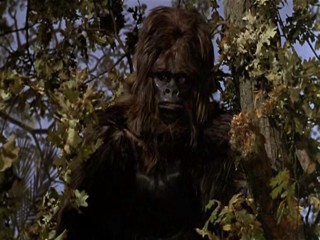 Carry On Up The Jungle