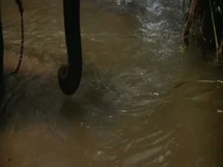 Indiana Jones and the Temple of Doom