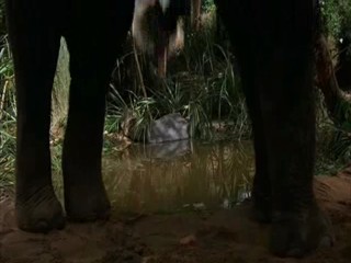 Indiana Jones and the Temple of Doom