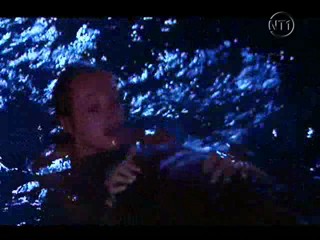 Les Vacances de L'amour