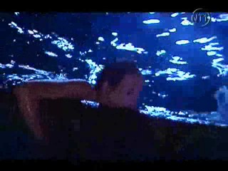 Les Vacances de L'amour