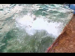 Les Vacances de L'amour