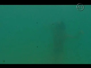 Les Vacances de L'amour