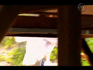 Les Vacances de L'amour