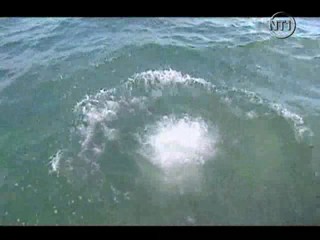 Les Vacances de L'amour